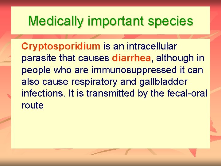 Medically important species n Cryptosporidium is an intracellular parasite that causes diarrhea, although in