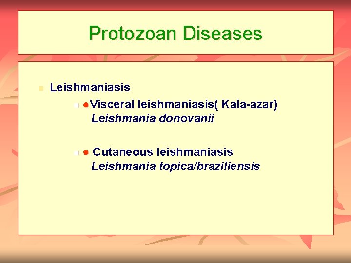 Protozoan Diseases n Leishmaniasis n ●Visceral leishmaniasis( Kala-azar) Leishmania donovanii n ● Cutaneous leishmaniasis