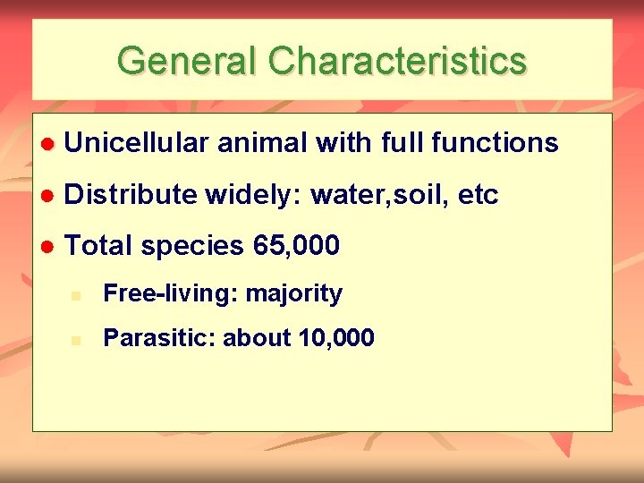 General Characteristics ● Unicellular animal with full functions ● Distribute widely: water, soil, etc.