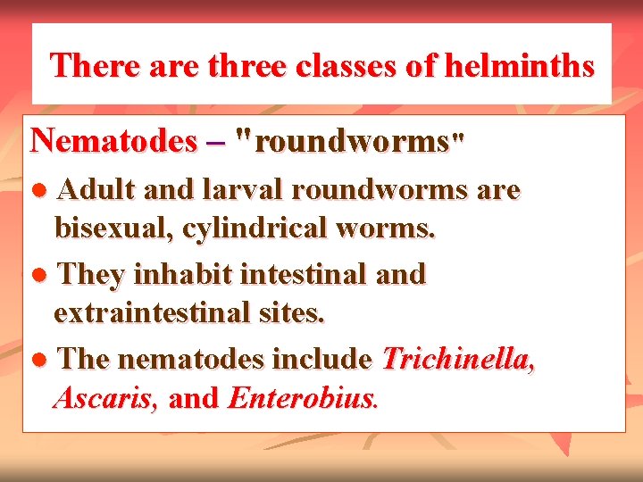 There are three classes of helminths Nematodes – "roundworms" ● Adult and larval roundworms
