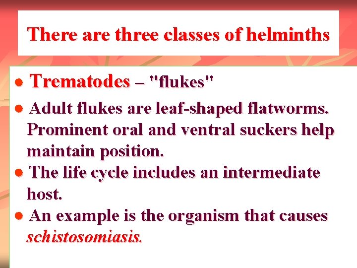 There are three classes of helminths ● Trematodes – "flukes" ● Adult flukes are