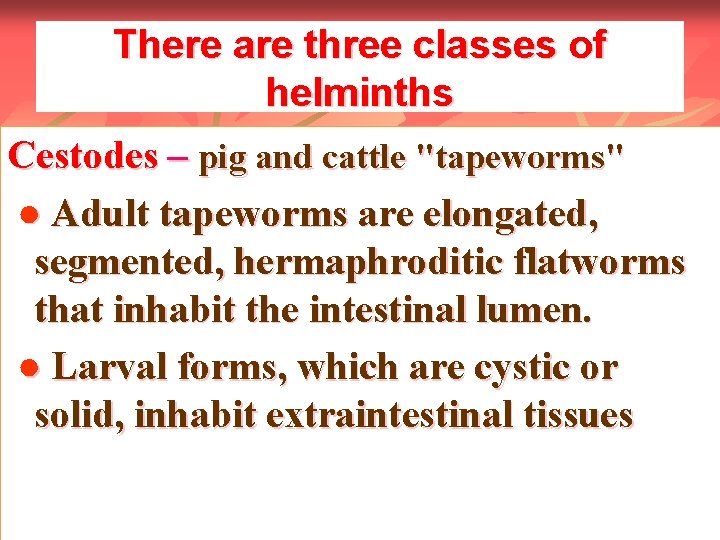 There are three classes of helminths Cestodes – pig and cattle "tapeworms" ● Adult