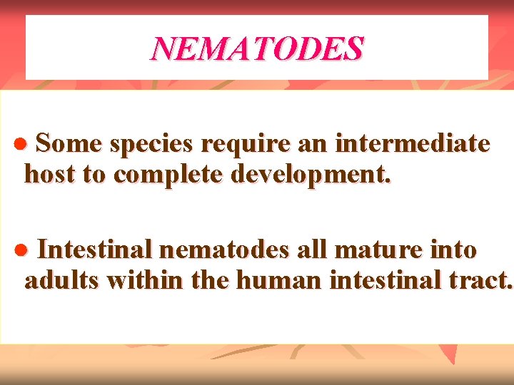 NEMATODES ● Some species require an intermediate host to complete development. ● Intestinal nematodes