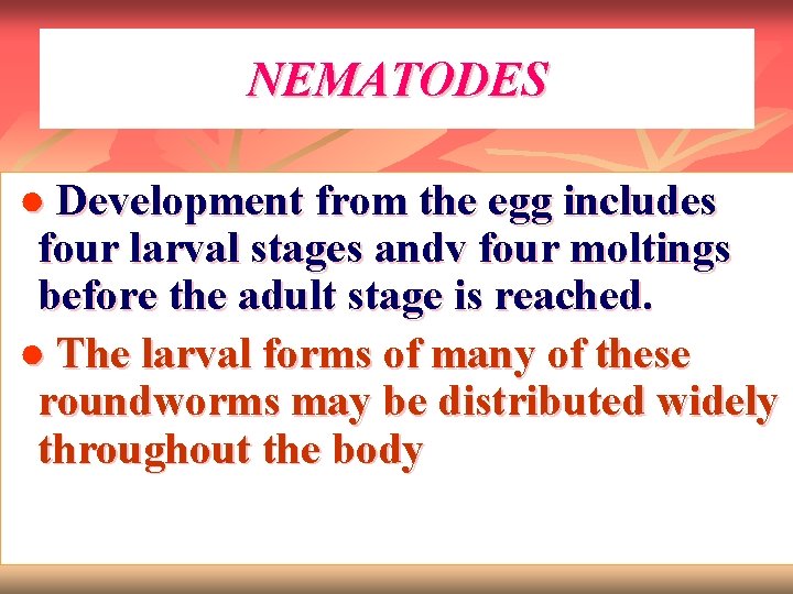 NEMATODES ● Development from the egg includes four larval stages andv four moltings before