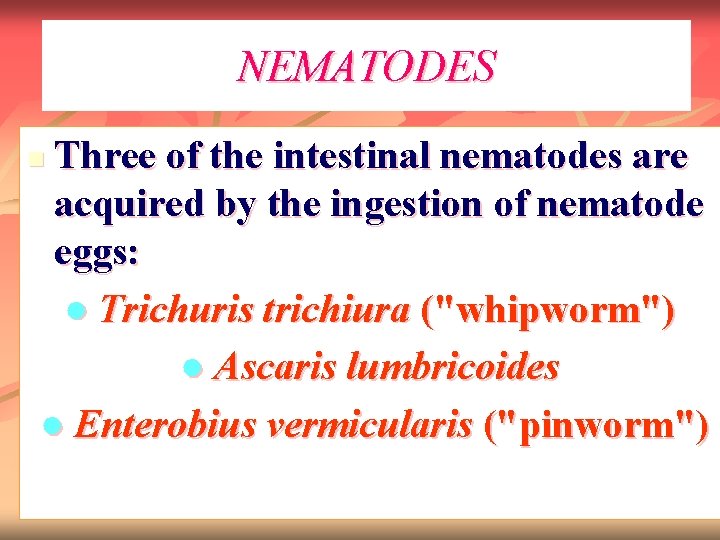 NEMATODES Three of the intestinal nematodes are acquired by the ingestion of nematode eggs: