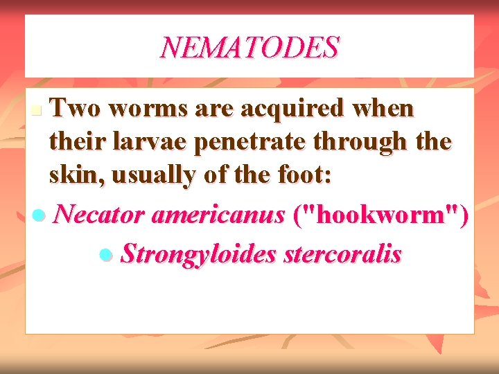 NEMATODES Two worms are acquired when their larvae penetrate through the skin, usually of