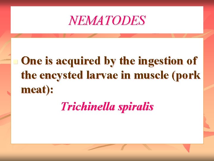 NEMATODES n One is acquired by the ingestion of the encysted larvae in muscle