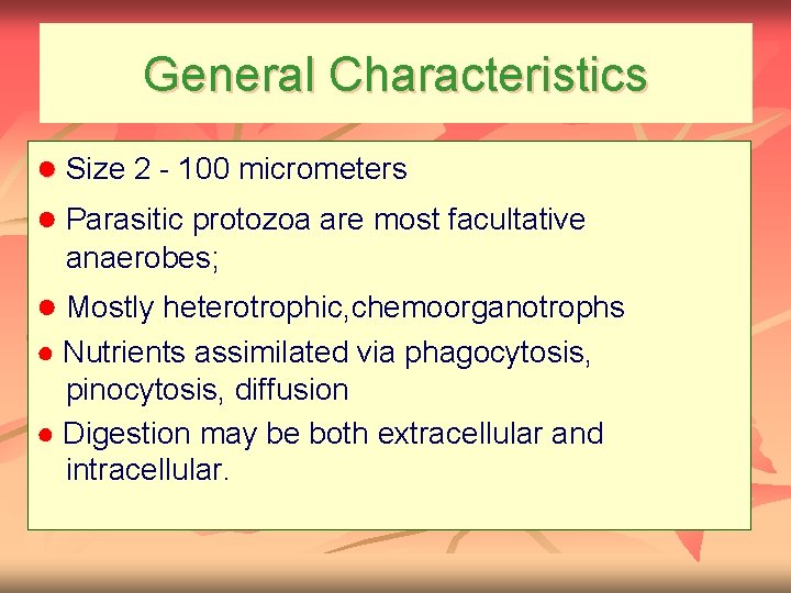 General Characteristics ● Size 2 - 100 micrometers ● Parasitic protozoa are most facultative