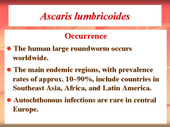 Ascaris lumbricoides Occurrence ● The human large roundworm occurs worldwide. ● The main endemic