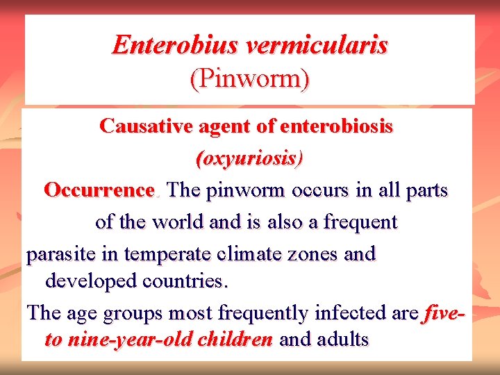Enterobius vermicularis (Pinworm) Causative agent of enterobiosis (oxyuriosis) Occurrence. The pinworm occurs in all