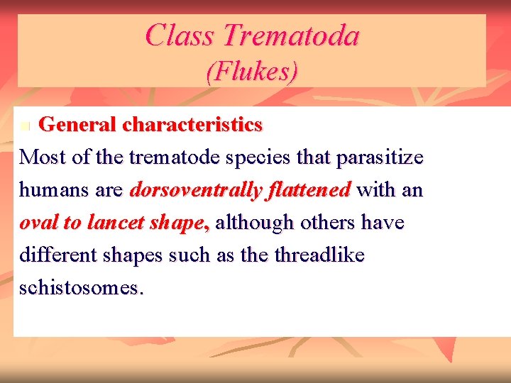 Class Trematoda (Flukes) General characteristics Most of the trematode species that parasitize humans are