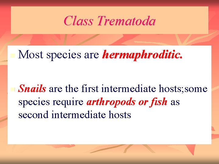 Class Trematoda n n Most species are hermaphroditic. Snails are the first intermediate hosts;
