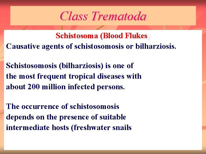 Class Trematoda Schistosoma (Blood Flukes) Causative agents of schistosomosis or bilharziosis. Schistosomosis (bilharziosis) is
