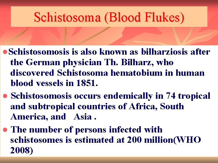 Schistosoma (Blood Flukes) ●Schistosomosis is also known as bilharziosis after the German physician Th.
