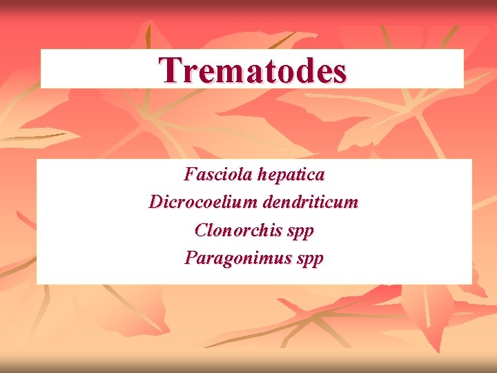 Trematodes Fasciola hepatica Dicrocoelium dendriticum Clonorchis spp Paragonimus spp 