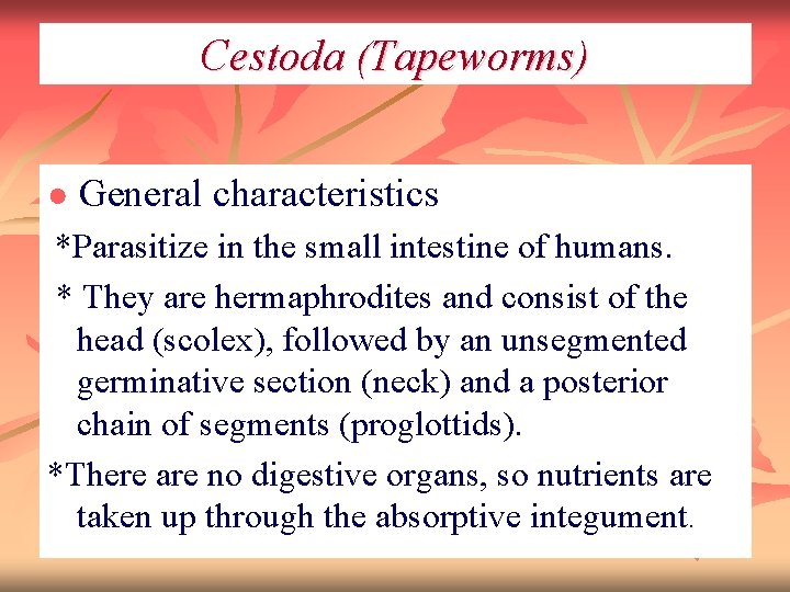 Cestoda (Tapeworms) ● General characteristics *Parasitize in the small intestine of humans. * They