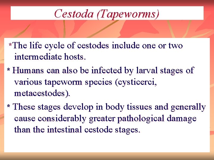 Cestoda (Tapeworms) *The life cycle of cestodes include one or two intermediate hosts. *