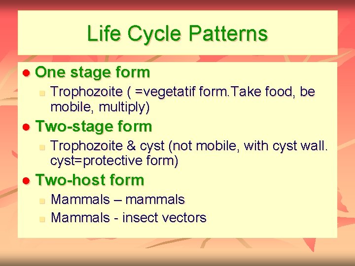 Life Cycle Patterns ● One stage form n Trophozoite ( =vegetatif form. Take food,