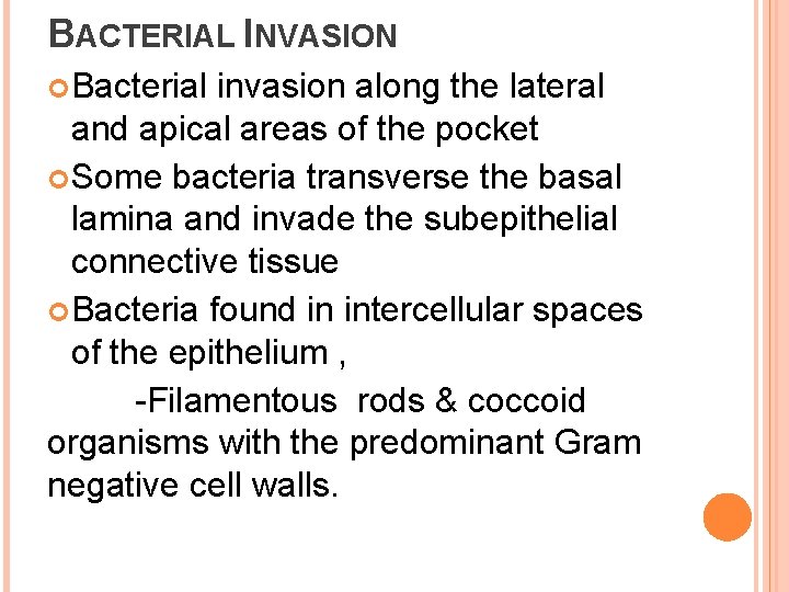 BACTERIAL INVASION Bacterial invasion along the lateral and apical areas of the pocket Some