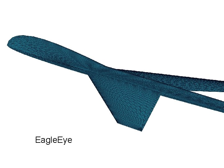 Eagle. Eye 
