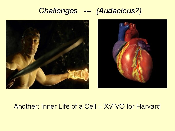 Challenges --- (Audacious? ) Another: Inner Life of a Cell – XVIVO for Harvard