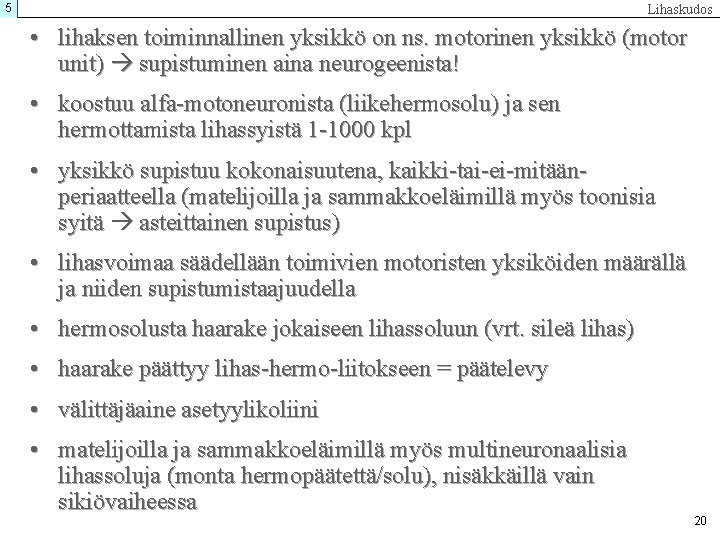 5 Lihaskudos • lihaksen toiminnallinen yksikkö on ns. motorinen yksikkö (motor unit) supistuminen aina