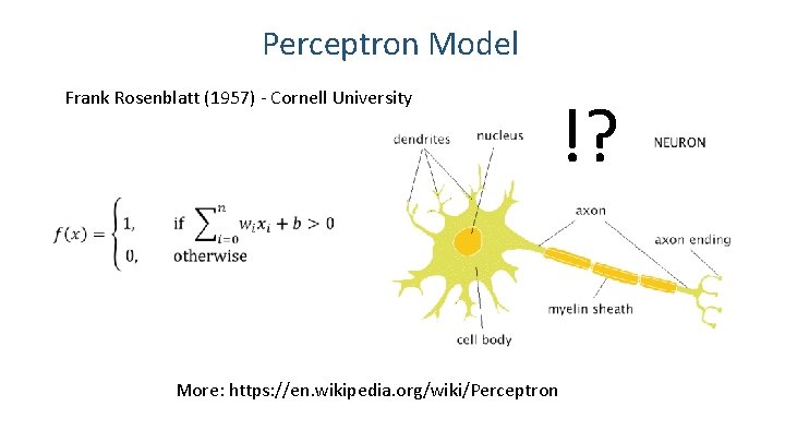 Perceptron Model Frank Rosenblatt (1957) - Cornell University !? More: https: //en. wikipedia. org/wiki/Perceptron Perceptron Model Frank Rosenblatt (1957) - Cornell University !? More: https: //en. wikipedia. org/wiki/Perceptron
