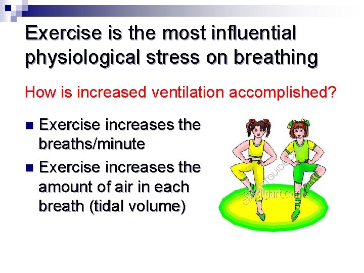 Exercise is the most influential physiological stress on breathing How is increased ventilation accomplished?