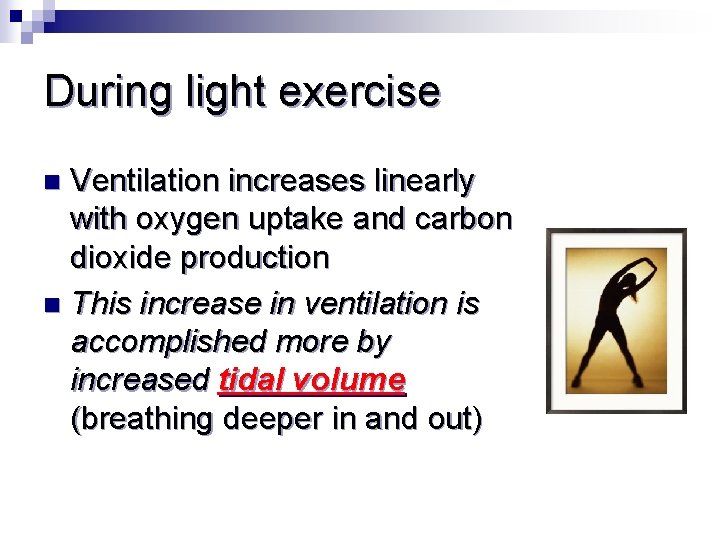 During light exercise Ventilation increases linearly with oxygen uptake and carbon dioxide production n