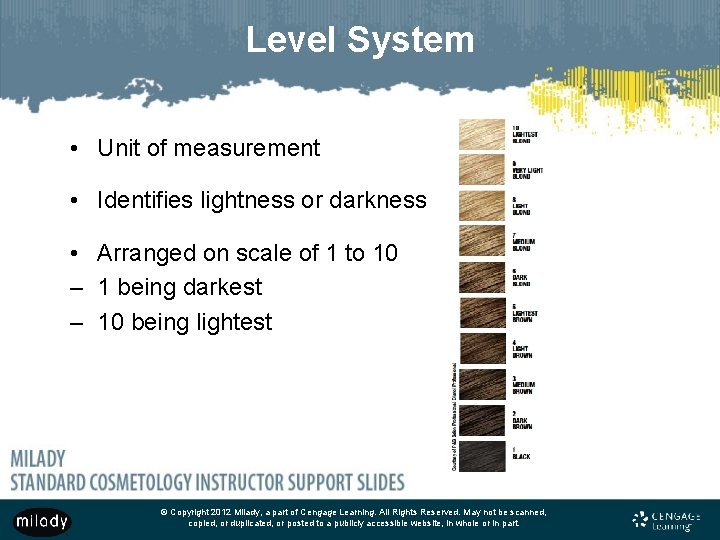 Level System • Unit of measurement • Identifies lightness or darkness • Arranged on