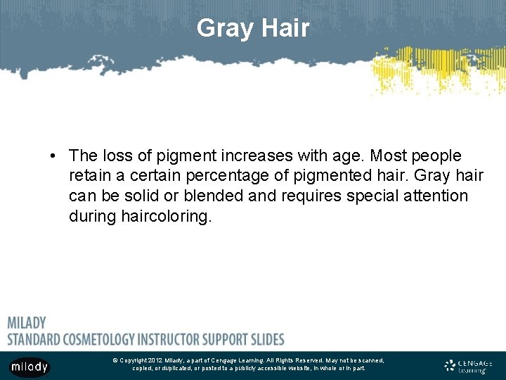 Gray Hair • The loss of pigment increases with age. Most people retain a