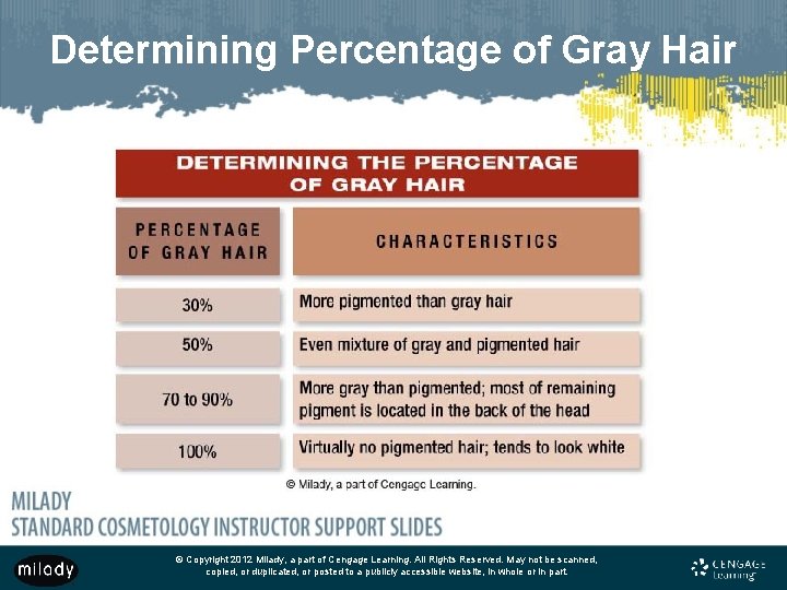 Determining Percentage of Gray Hair © Copyright 2012 Milady, a part of Cengage Learning.