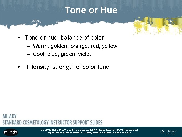 Tone or Hue • Tone or hue: balance of color – Warm: golden, orange,