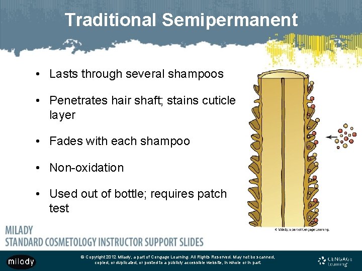 Traditional Semipermanent • Lasts through several shampoos • Penetrates hair shaft; stains cuticle layer