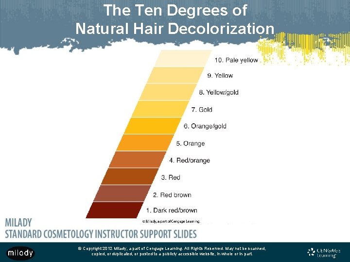 The Ten Degrees of Natural Hair Decolorization © Copyright 2012 Milady, a part of