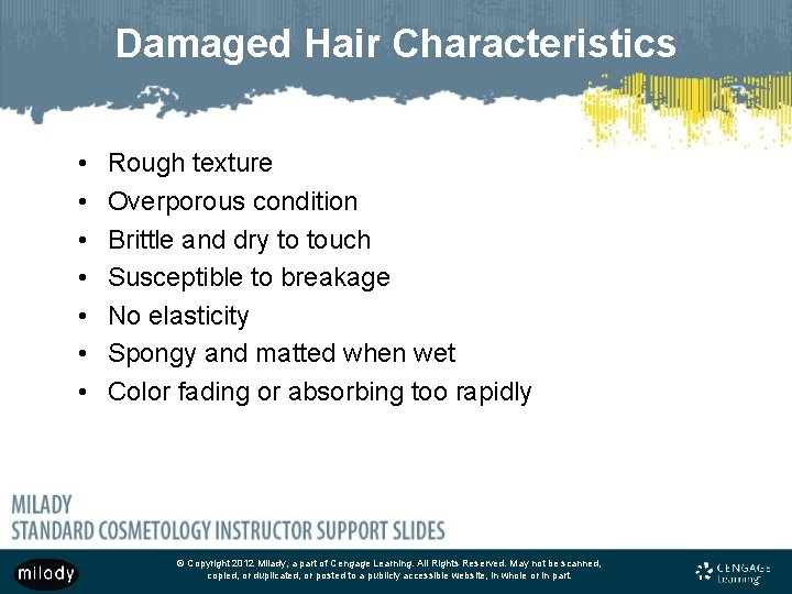 Damaged Hair Characteristics • • Rough texture Overporous condition Brittle and dry to touch