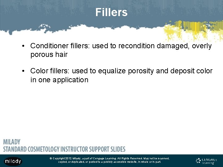 Fillers • Conditioner fillers: used to recondition damaged, overly porous hair • Color fillers: