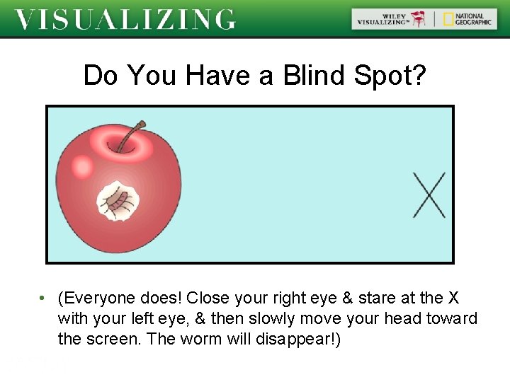 Do You Have a Blind Spot? • (Everyone does! Close your right eye &