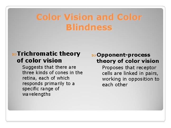 Color Vision and Color Blindness Trichromatic theory of color vision Suggests that there are