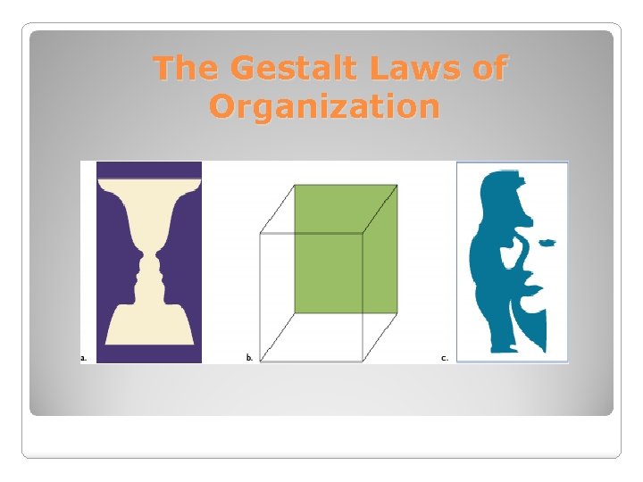The Gestalt Laws of Organization 