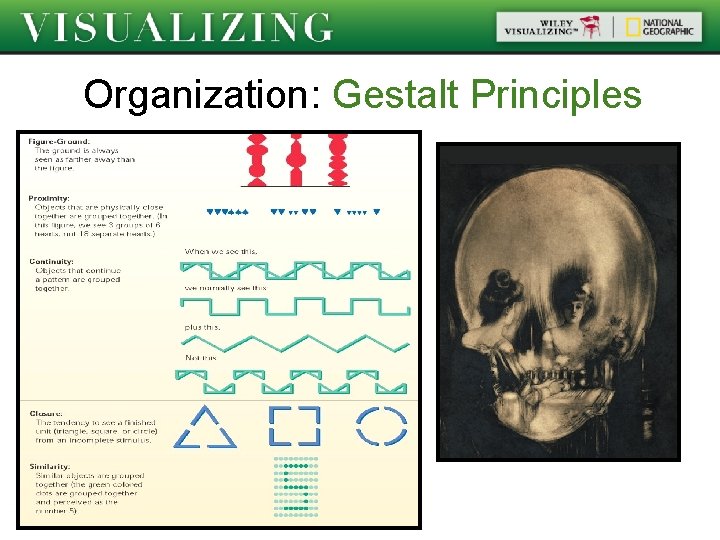 Organization: Gestalt Principles 