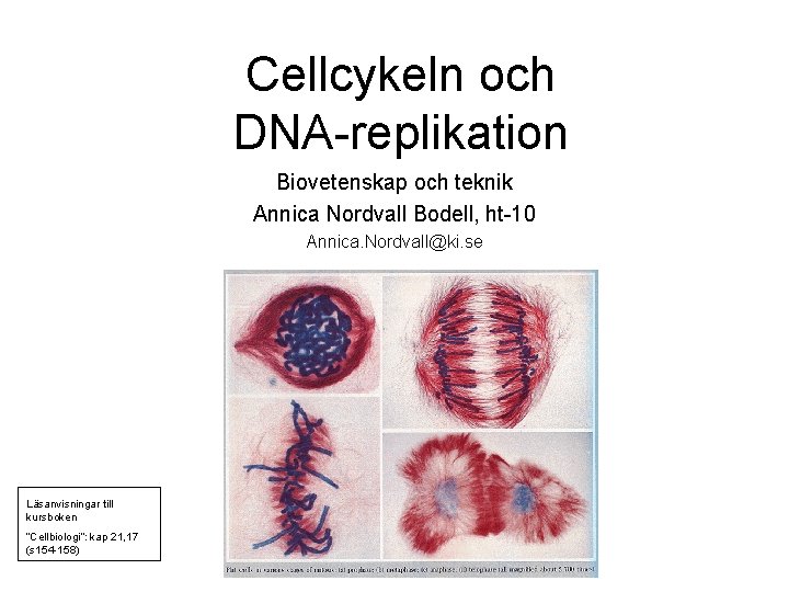 Cellcykeln och DNA-replikation Biovetenskap och teknik Annica Nordvall Bodell, ht-10 Annica. Nordvall@ki. se Läsanvisningar