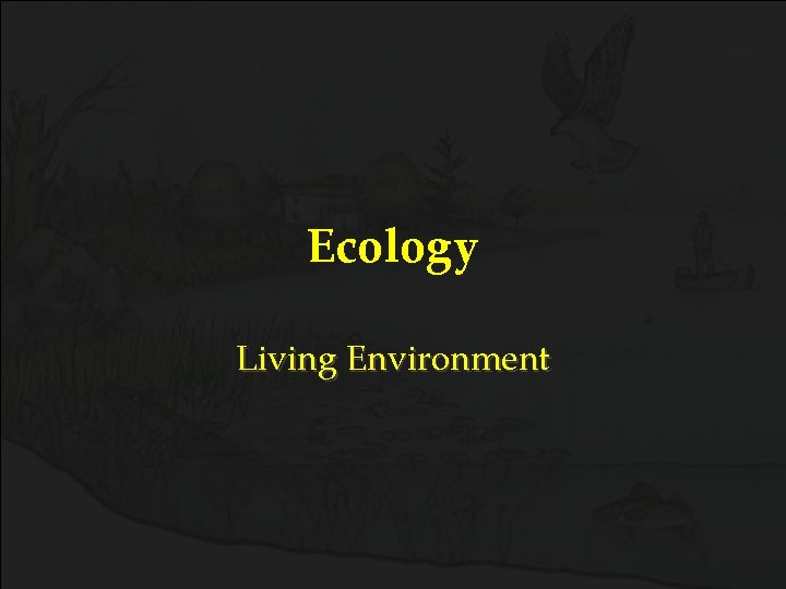 Ecology Living Environment 