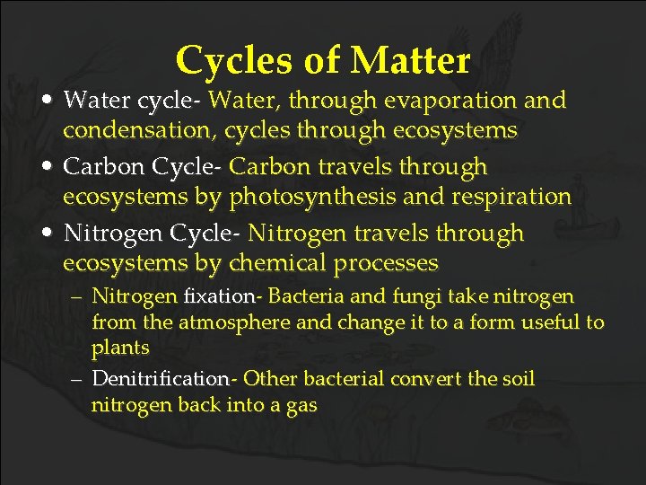 Cycles of Matter • Water cycle- Water, through evaporation and condensation, cycles through ecosystems