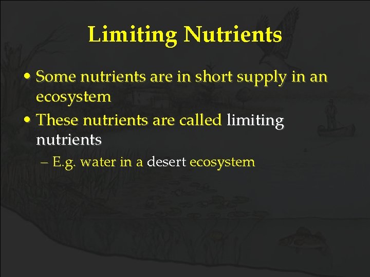 Limiting Nutrients • Some nutrients are in short supply in an ecosystem • These