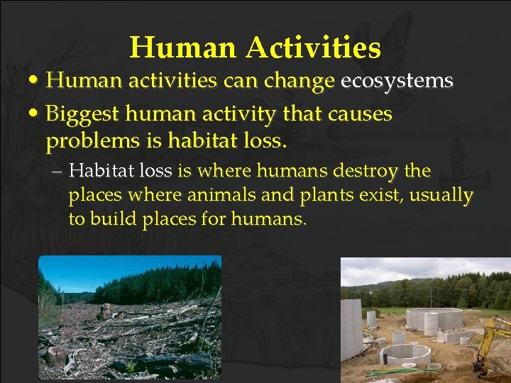 Human Activities • Human activities can change ecosystems • Biggest human activity that causes