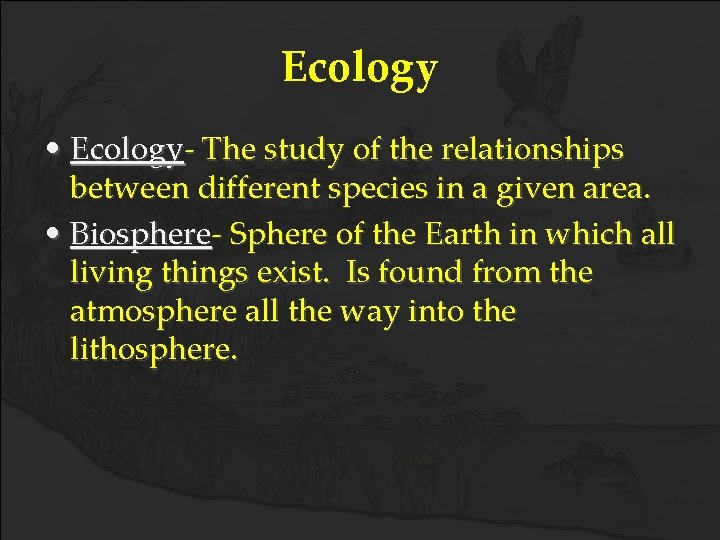 Ecology • Ecology- The study of the relationships between different species in a given