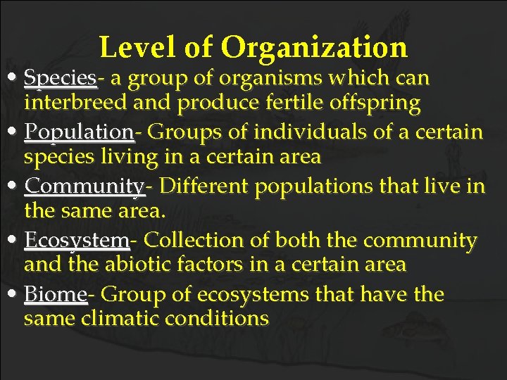 Level of Organization • Species- a group of organisms which can interbreed and produce