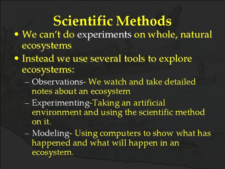 Scientific Methods • We can’t do experiments on whole, natural ecosystems • Instead we