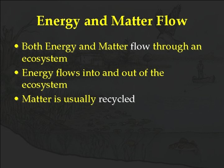 Energy and Matter Flow • Both Energy and Matter flow through an ecosystem •